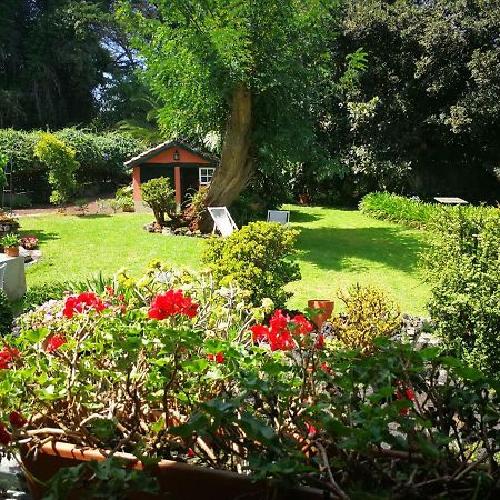 Jardines De Hortensia - Vacation Home Tenerife Ла Лагуна Екстериор снимка