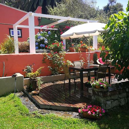Jardines De Hortensia - Vacation Home Tenerife Ла Лагуна Екстериор снимка