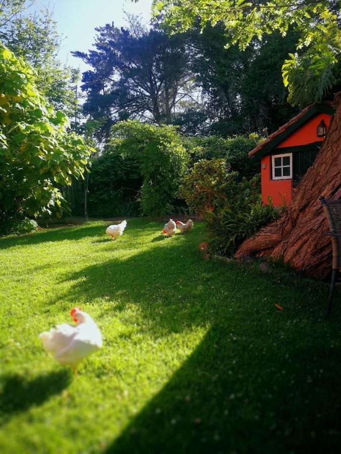 Jardines De Hortensia - Vacation Home Tenerife Ла Лагуна Екстериор снимка