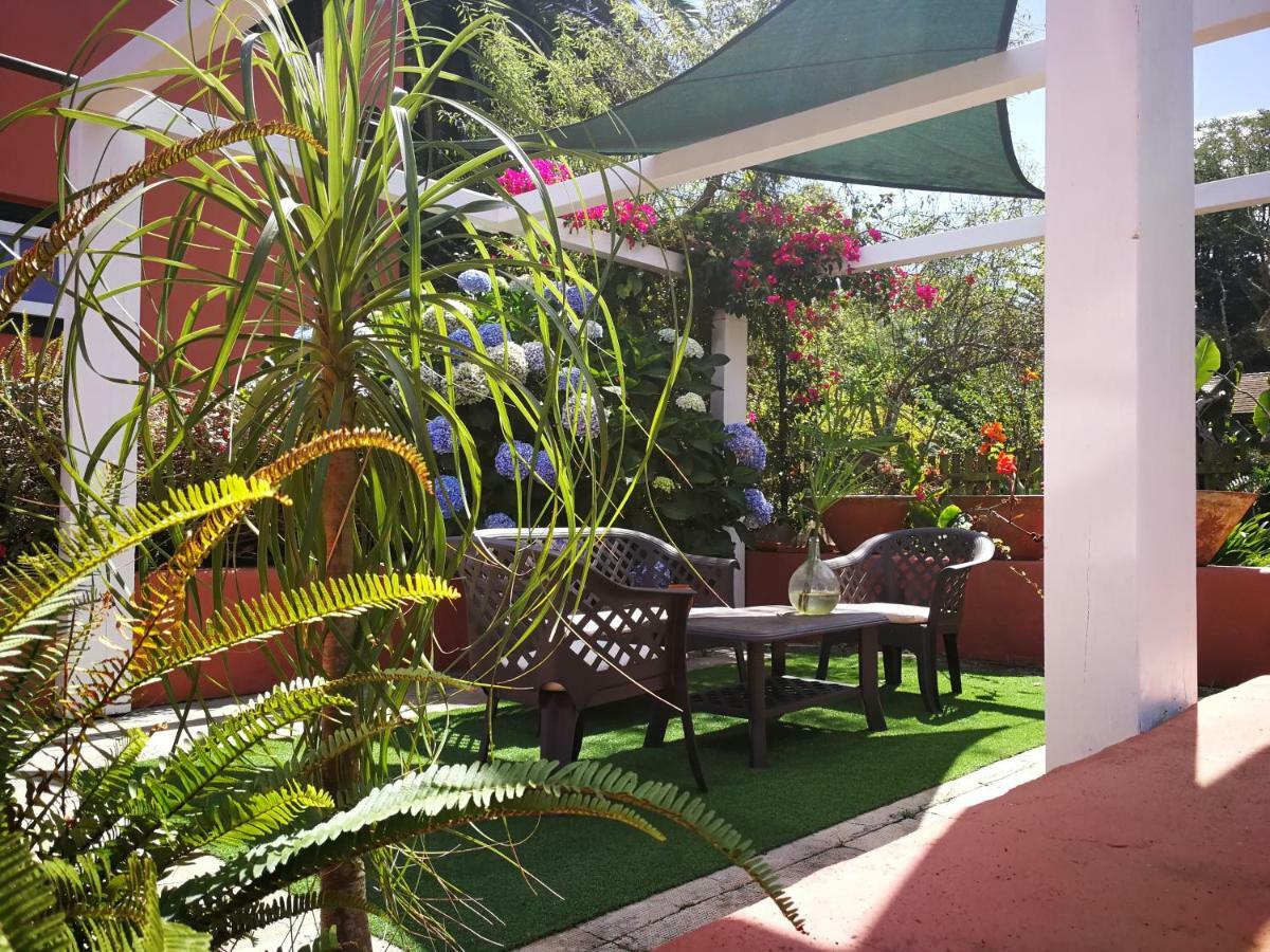 Jardines De Hortensia - Vacation Home Tenerife Ла Лагуна Екстериор снимка