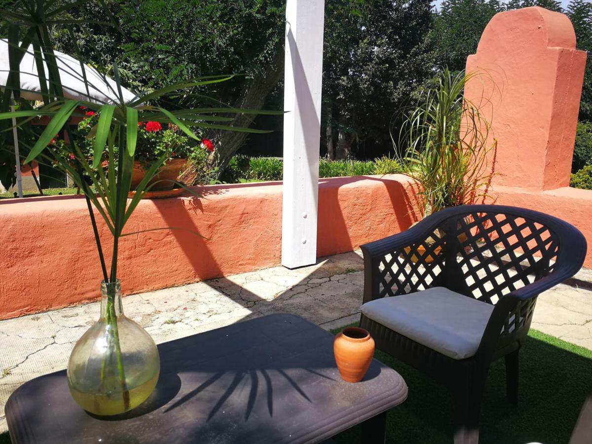 Jardines De Hortensia - Vacation Home Tenerife Ла Лагуна Екстериор снимка
