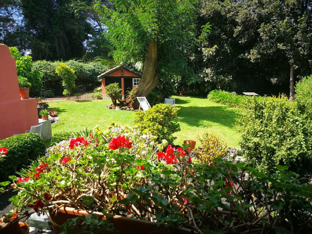 Jardines De Hortensia - Vacation Home Tenerife Ла Лагуна Екстериор снимка