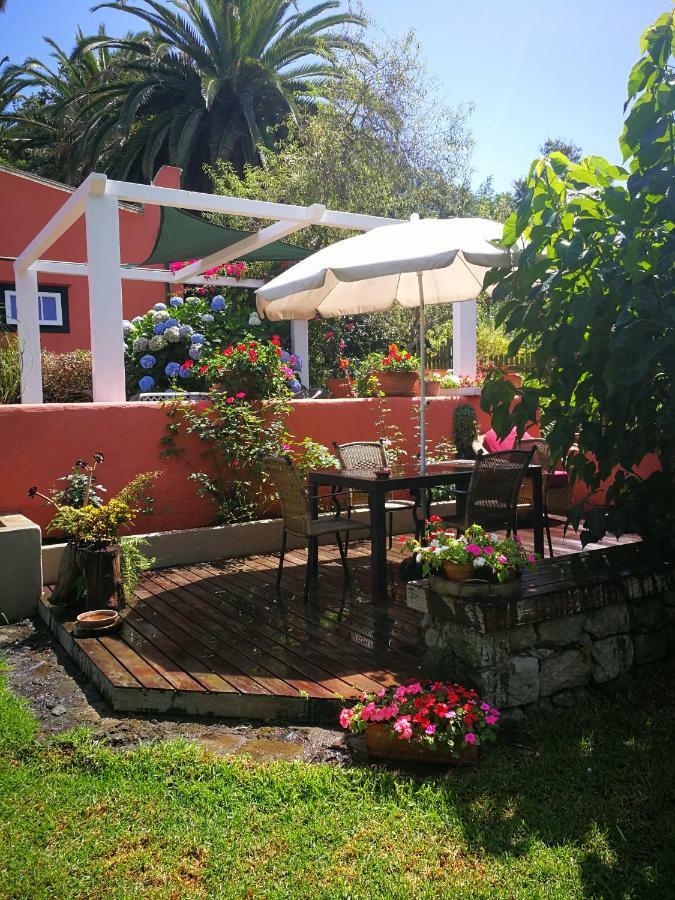 Jardines De Hortensia - Vacation Home Tenerife Ла Лагуна Екстериор снимка