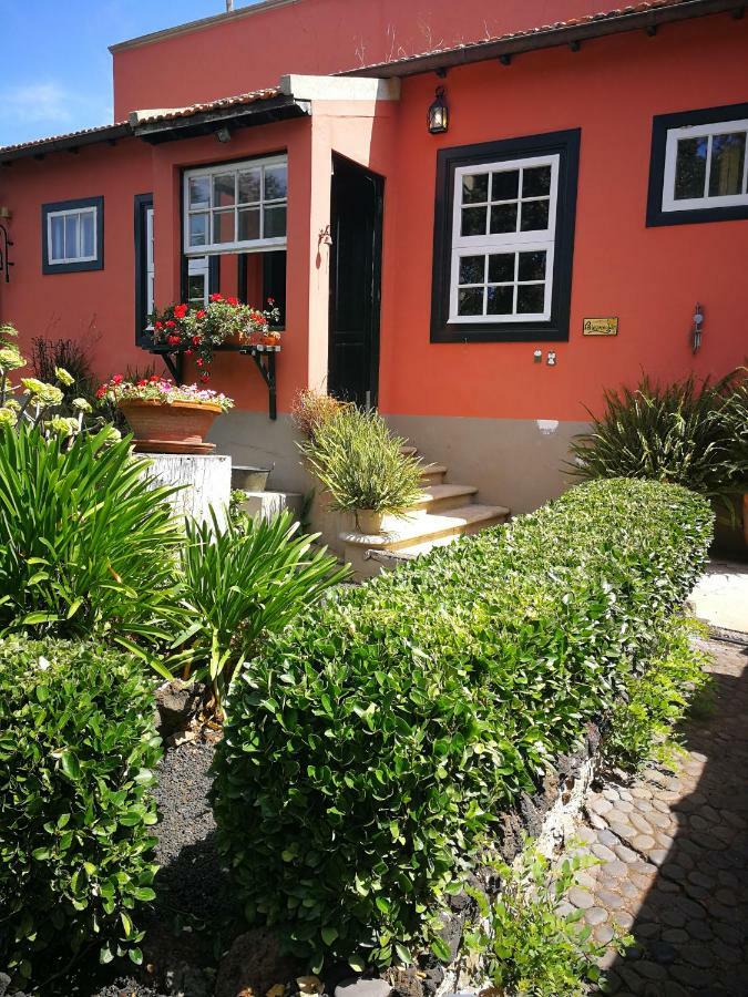 Jardines De Hortensia - Vacation Home Tenerife Ла Лагуна Екстериор снимка