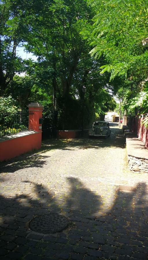 Jardines De Hortensia - Vacation Home Tenerife Ла Лагуна Екстериор снимка