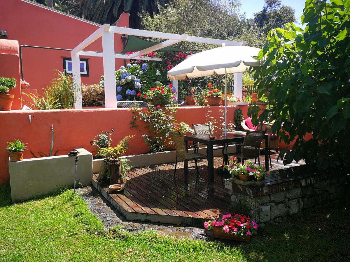 Jardines De Hortensia - Vacation Home Tenerife Ла Лагуна Екстериор снимка